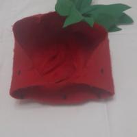 costume di carnevale 