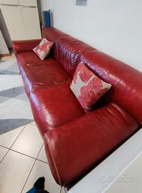 divano in pelle Doimo