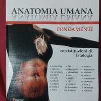 libro anatomia umana edi hermes 