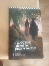 Libro I dolori del giovane Werther