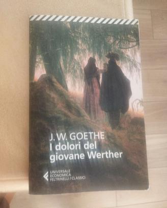 Libro I dolori del giovane Werther