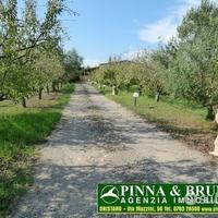 Baratili - capannone