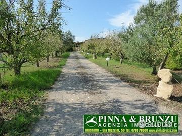 Baratili - capannone