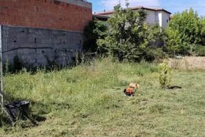 Terreno residenziale edificabile