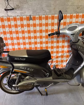 Bici elettrica