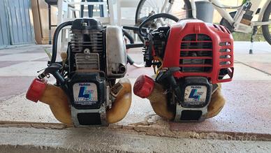 2 decespugliatori ROBIN BH2500