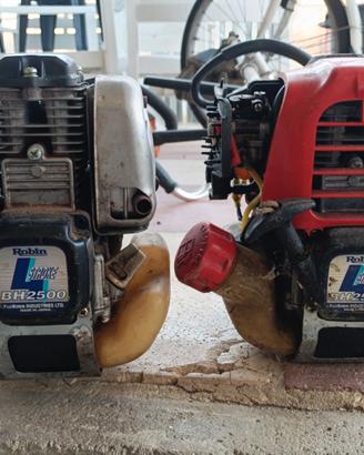 2 decespugliatori ROBIN BH2500
