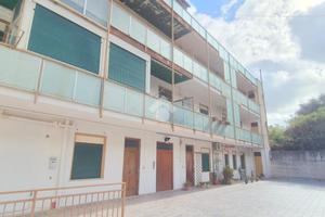 4 LOCALI A PIANA DEGLI ALBANESI