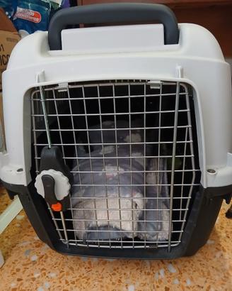 Trasportino per cani