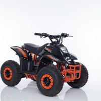 Mini Quad LINUS R6 + Kit Primo Tagliando