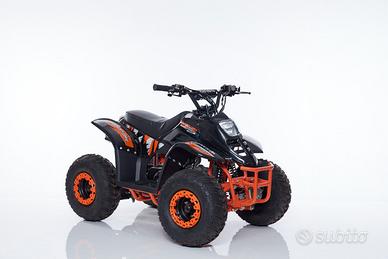 Mini Quad LINUS R6 + Kit Primo Tagliando