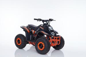 Mini Quad LINUS R6 + Kit Primo Tagliando