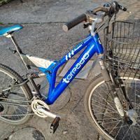 MTB Torpado