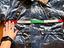 Immagine 5