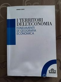 I territori dell'economia (Conti)