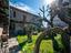 Immagine 11