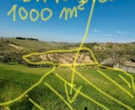 Terreno edificabile e agricolo a Casalincontrada