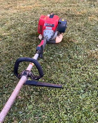 Decespugliatore Kawasaki