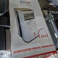 Climatizzatore pinguino 10000BTU