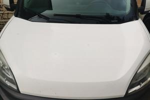 Fiat Doblo cargo allestimento 