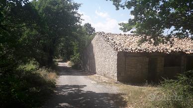 Casale da ristrutturare con circa 14000 mq