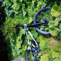 Cube 215 race 2024 XL (DOWNHILL)