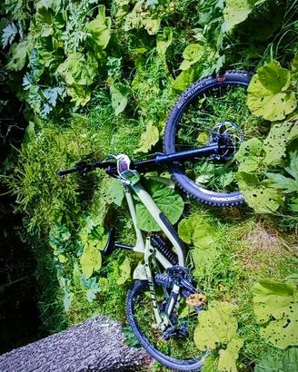 Cube 215 race 2024 XL (DOWNHILL)