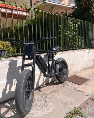 bici elettrica 1000watt