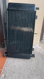 Radiatore Yamaha FZ6
