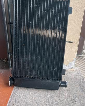 Radiatore Yamaha FZ6