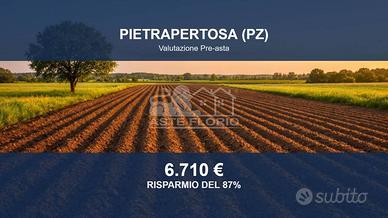 Immobile in asta di 33530 m² a Pietrapertosa
