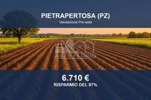 Immobile in asta di 33530 m² a Pietrapertosa