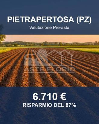 Immobile in asta di 33530 m² a Pietrapertosa