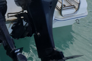 Mercury 40 60 efi leggi