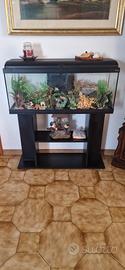 Acquario 100x40x30 acqua dolce