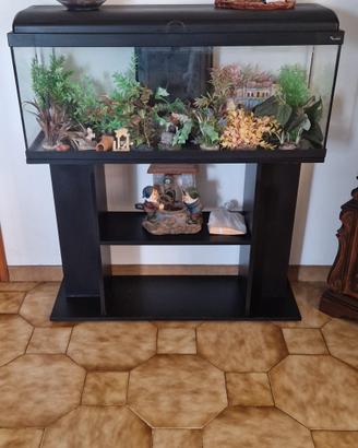 Acquario 100x40x30 acqua dolce