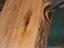 Immagine 8