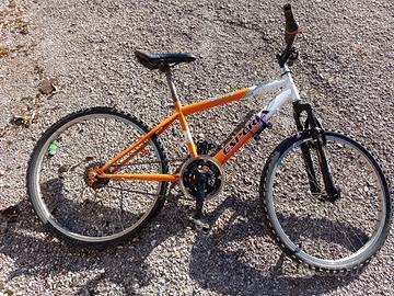 bici vecchia