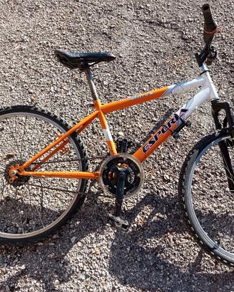 bici vecchia