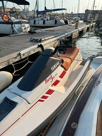 Moto d'acqua: Yamaha Marine Jet 500T