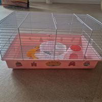 gabbia per criceto