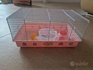 gabbia per criceto