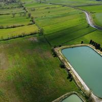 Un Angolo di Paradiso per gli Amanti della Natura
