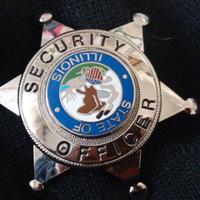 US POLICE BADGE POLIZIA DISTINTIVO STATE ILLINOIS