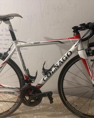 Colnago C59 Italia – Carbonio Top Gamma