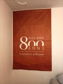 striscione 800 anni unipd