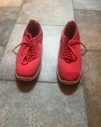 Scarpe vans