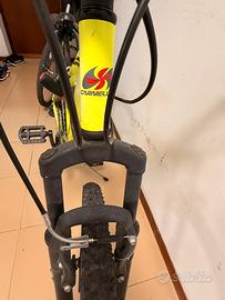 Bicicletta_Carnielli mtb