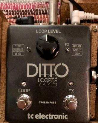Ditto X2 Looper