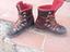 Immagine 1